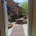 Lili De La Lisathi Palmas d'Aveyron