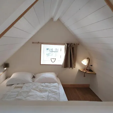 Lili De La Lisathi Tatil Evi