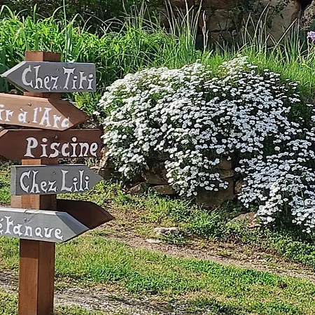 Lili De La Lisathi Tatil Evi *