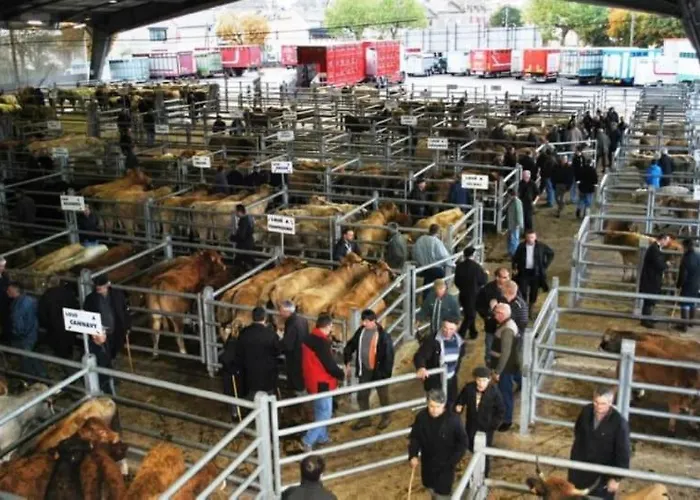 Casa de Férias Lili De La Lisathi