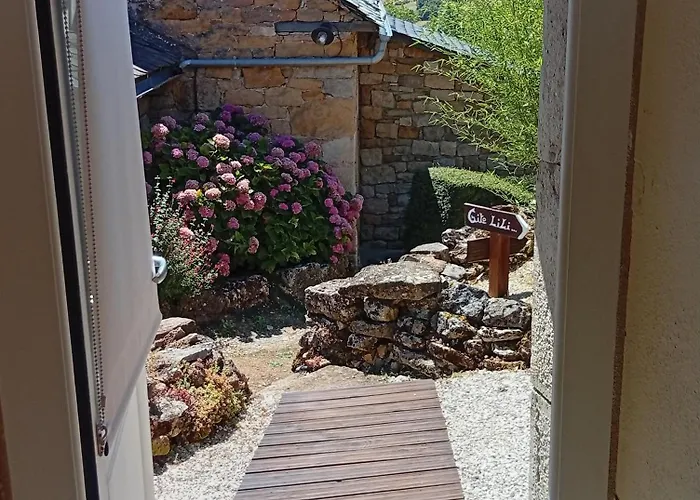 Lili De La Lisathi Palmas d'Aveyron